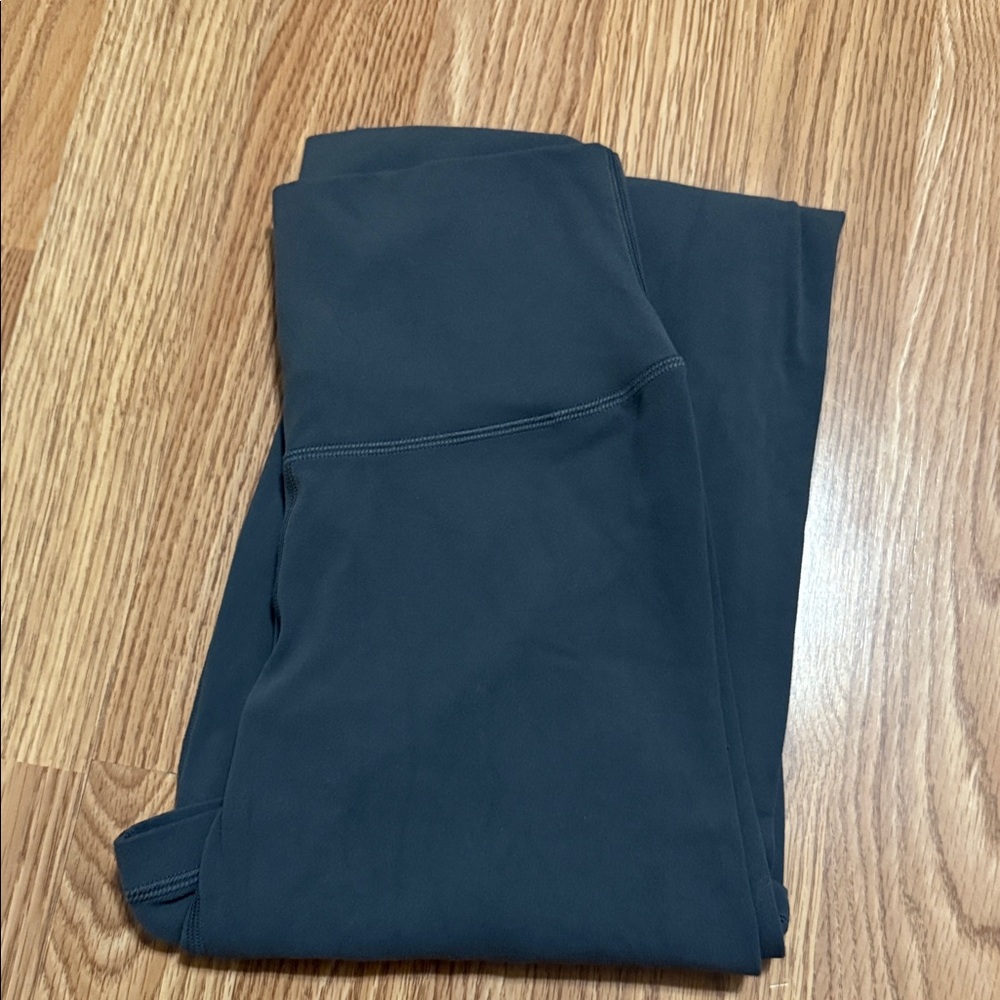 Aritzia Tna Golden pant